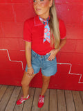 deluc springsteen knit polo in red and pin combo