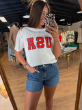 z supply USA boyfriend tee in sea salt