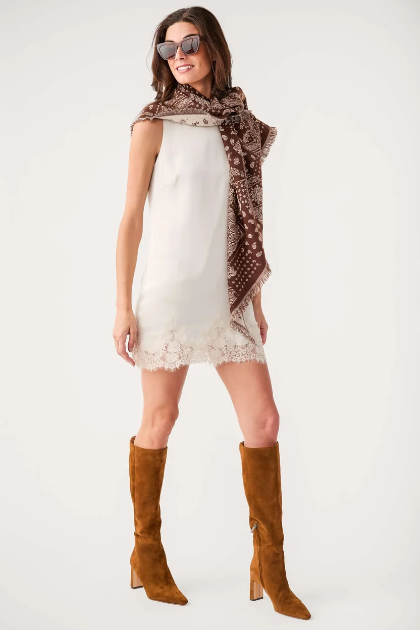 Z Supply Meadow Muse Lace Mini Dress