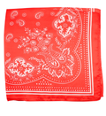 paisley print bandana in red