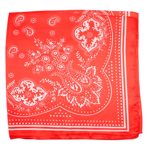 paisley print bandana in red