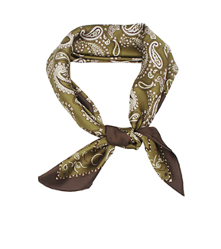 stella paisley bandana in olive