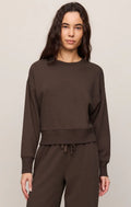 z supply comeback sweatshirt in dark chocolate
