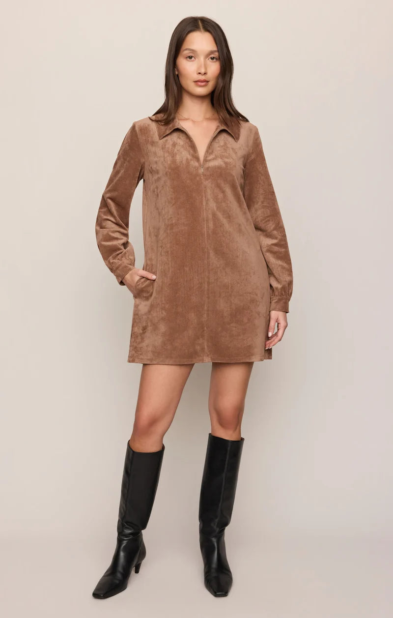 Z Supply Connie Mini Dress